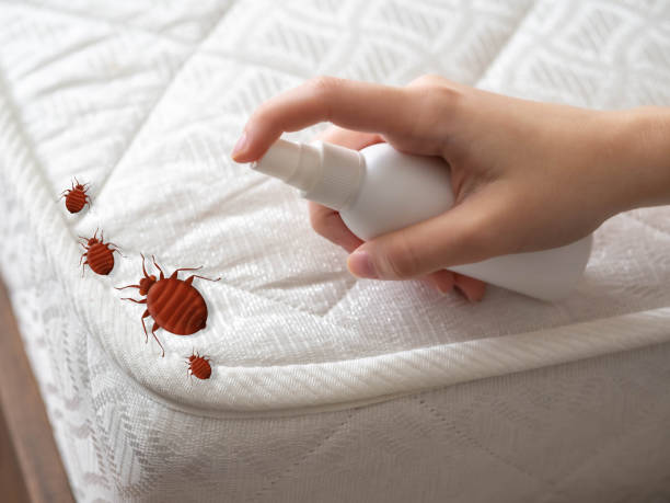 Best Pest Removal Services  in North Merrick, NY