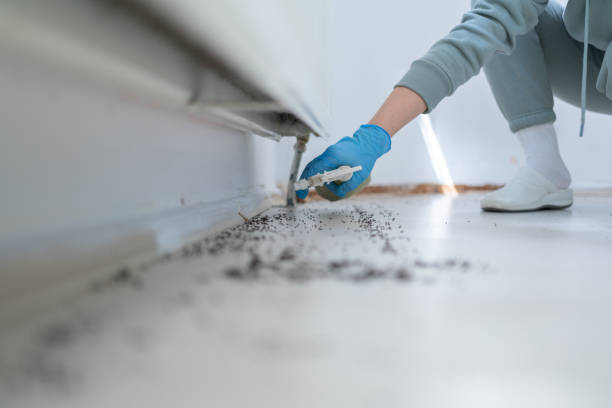 Best Best Pest Control Companies  in North Merrick, NY